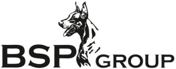 bspgroup logo